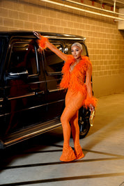 Ostrich Feather Set - Orange