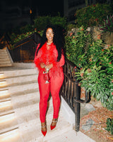 Ostrich Feather Set - Red