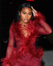 PRE-ORDER - Ostrich Feather Set - Burgundy (Ships 7/18)